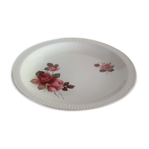 Dish