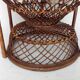 Armchair Emmanuelle Peacock
