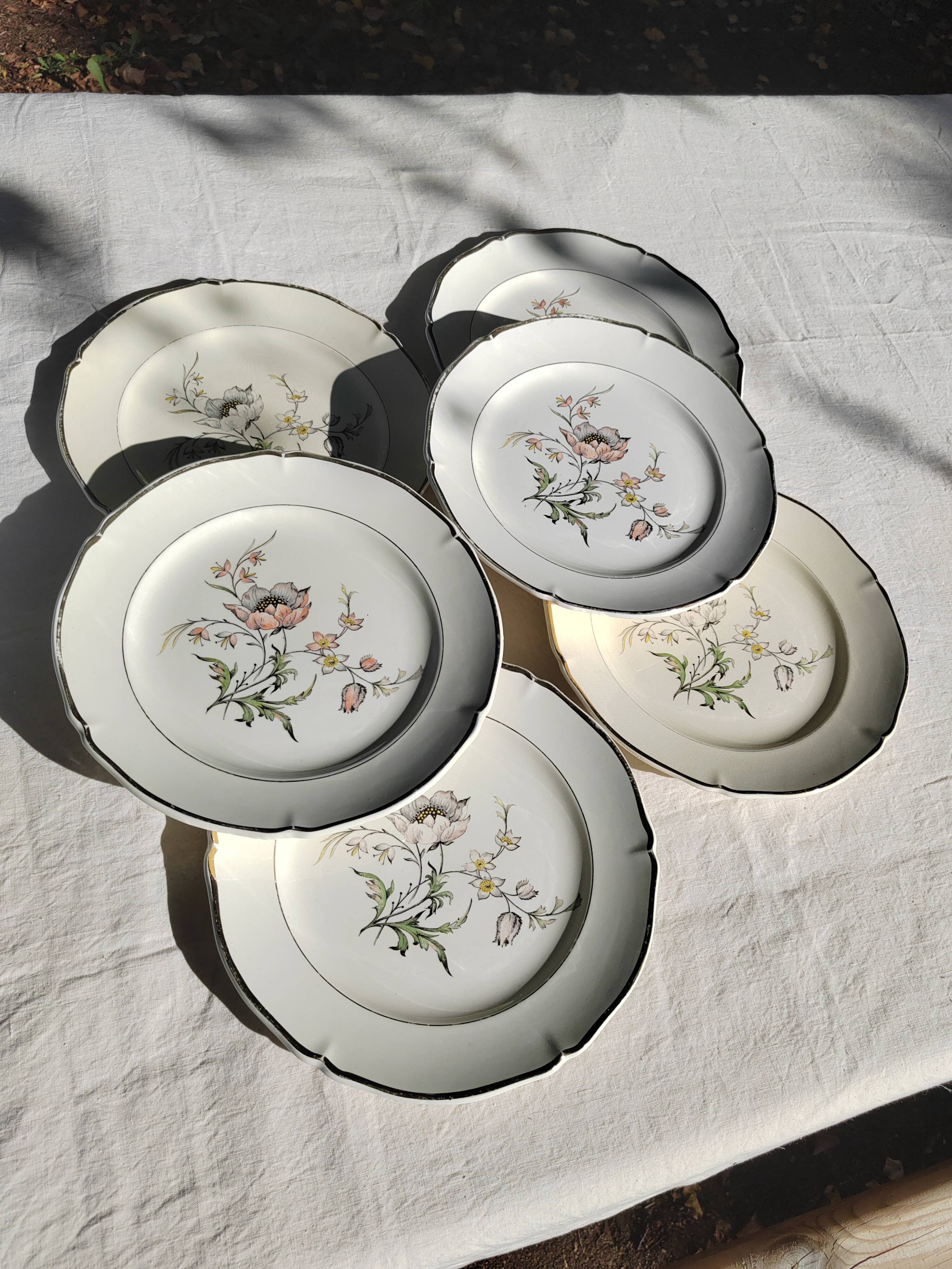 6 flat plates “Saverne” Saint Amand