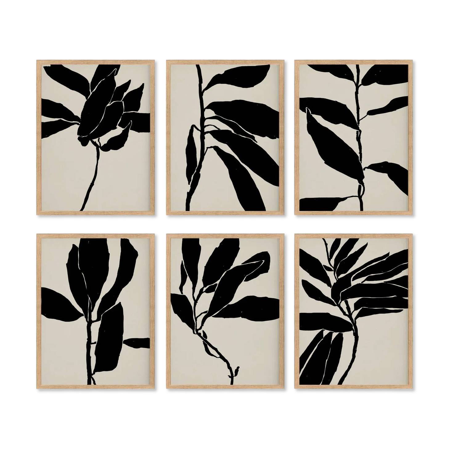 Ensemble de 6 impressions giclées. Série botanique.