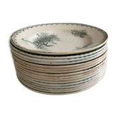 17 St Amand ironware plates, "Muguet" model