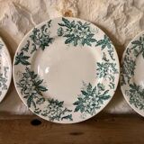 Ironstone "anemone" flat plates from Saint-Amand-les-Eaux