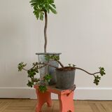 Small step foot in old wood