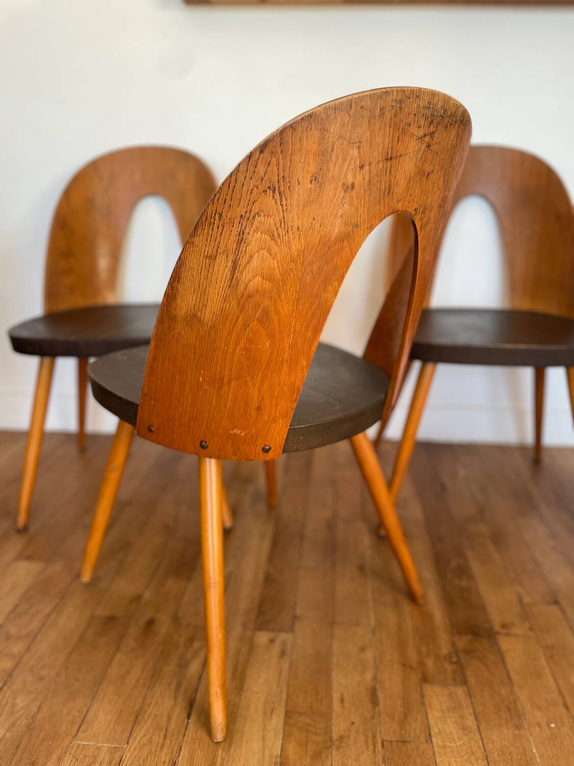 Lot 3 chaises Antonin Suman