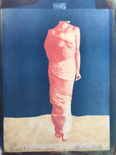 Affiche originale de Christina Rendina Desert Venus 1988 80 x 60
