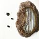 Brutalist mineral pocket void