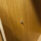 Scandinavian 3-door wardrobe in blond teak