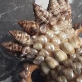 Vase terracotta shells - year 70