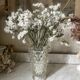Rostrato Vase in Murano Glass, 1960s