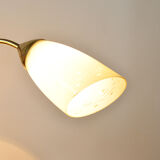 Lustre, années 1950