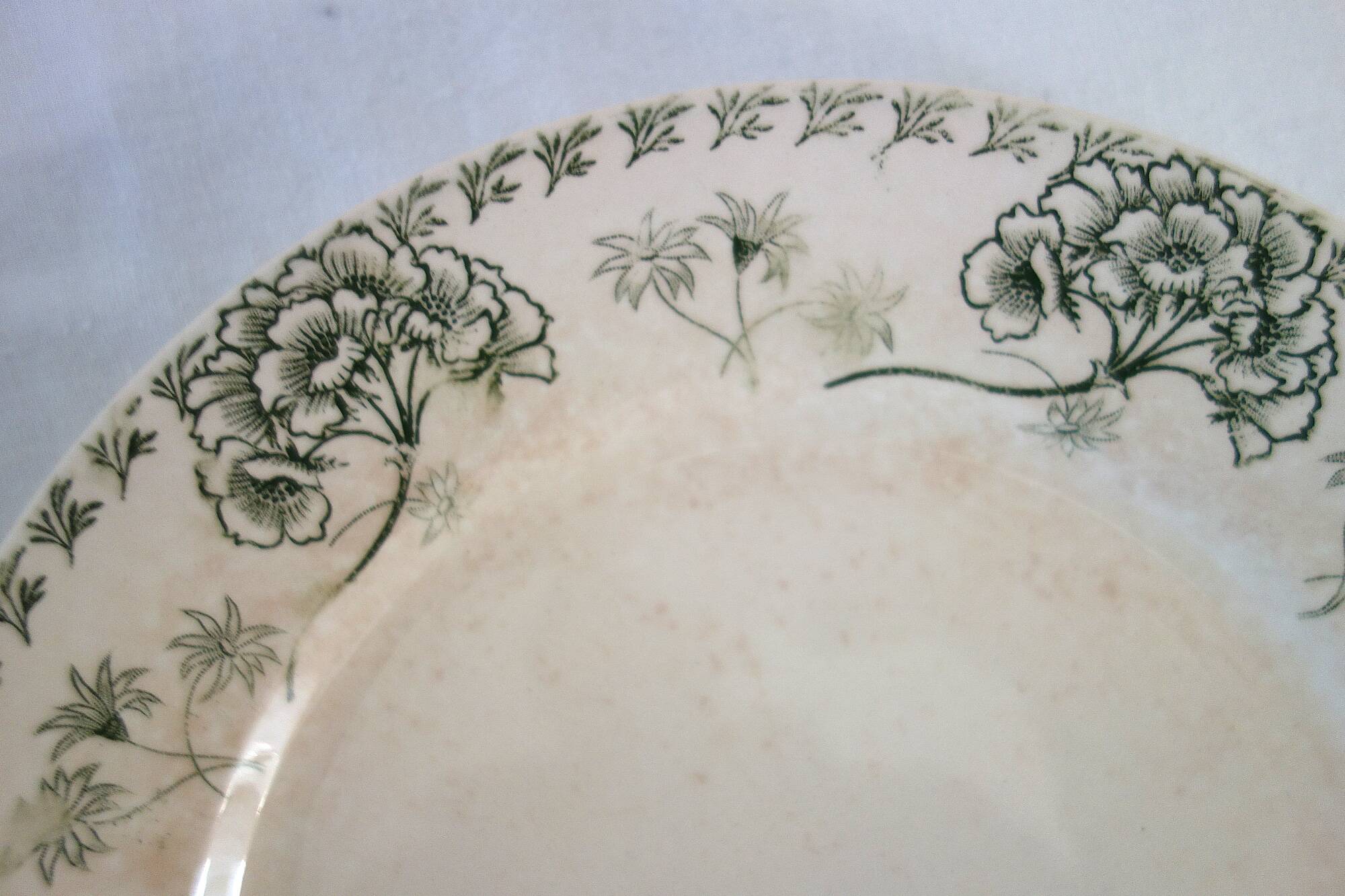 6 flat ironstone plates "Palmyre" Sarreguemines