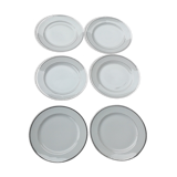 6 Porcelain plates . Limoges , Charles Ahrenfeldt
