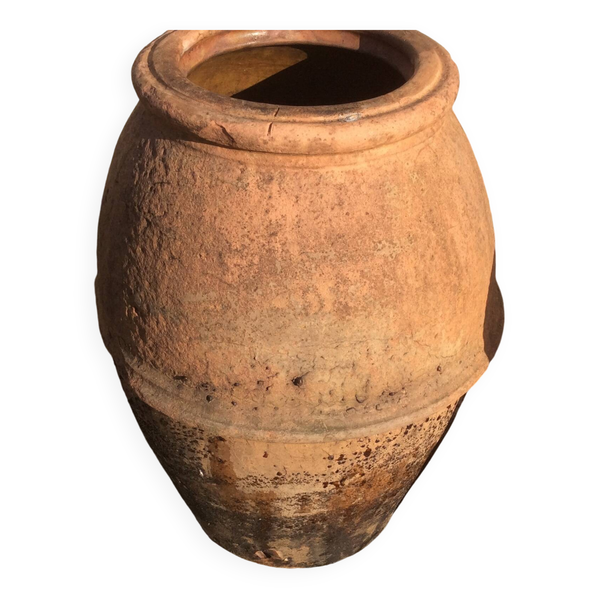 Ancient Orcio dà olio italiano