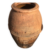 Ancient Orcio dà olio italiano
