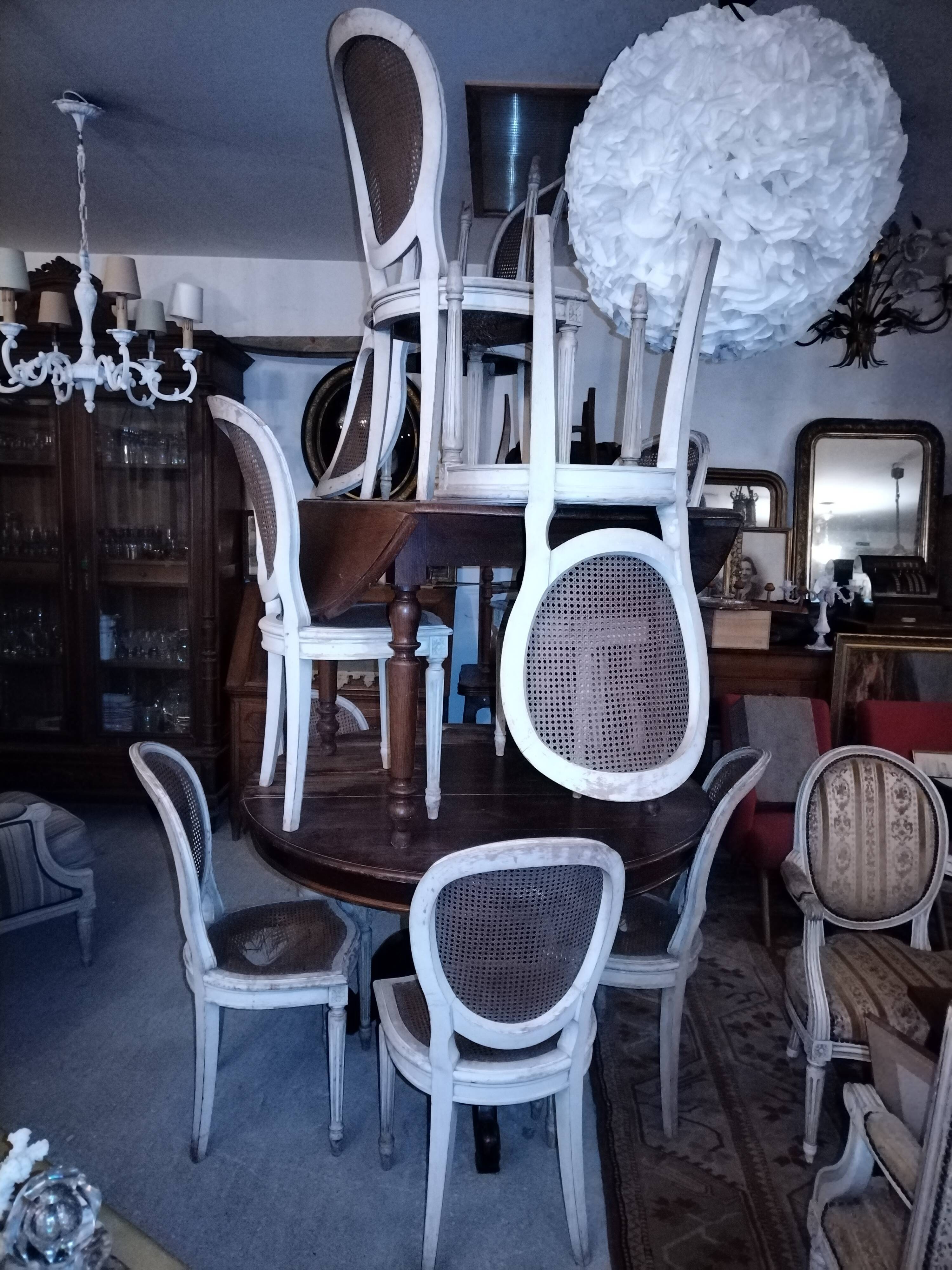 Lot Louis XV medallion chairs canned