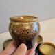Lot 8 coffee cups in vintage ceramic 60s