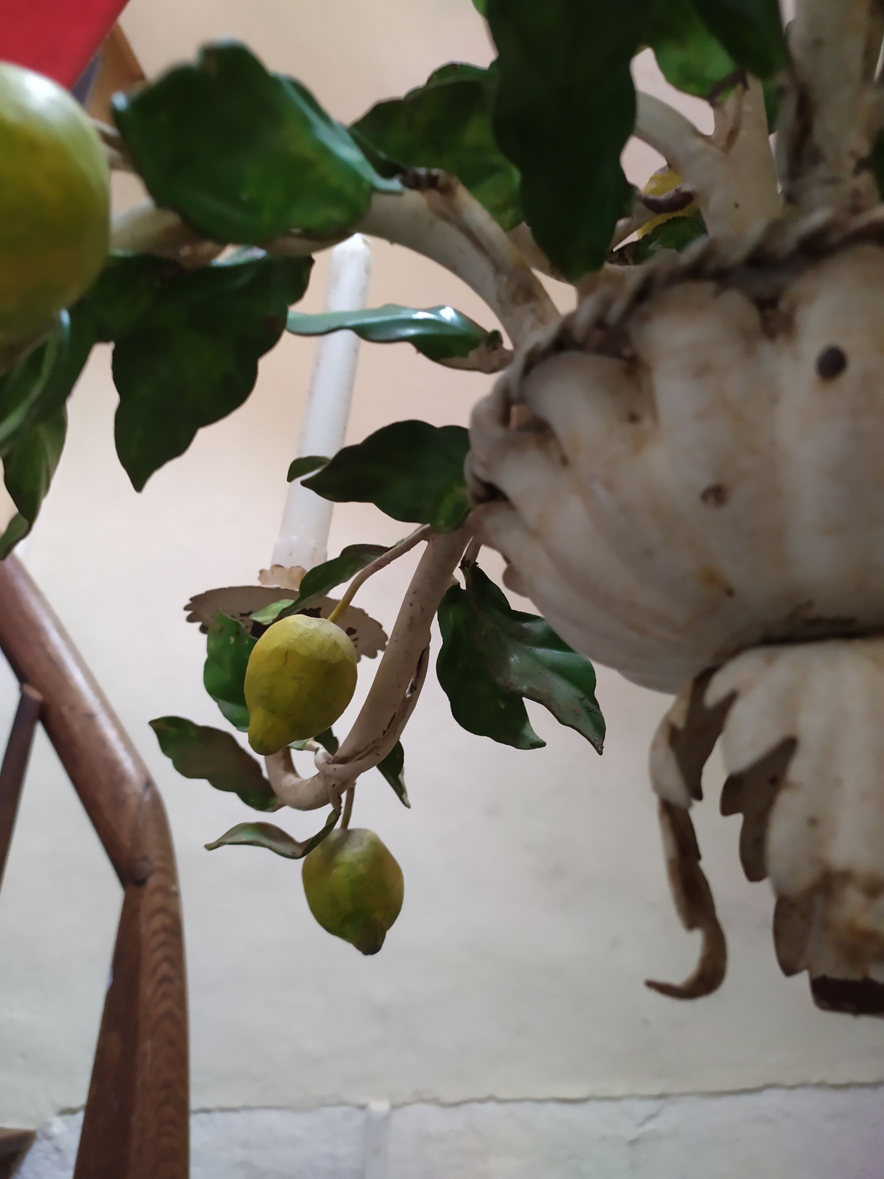 Lustre florentin en fer forgé