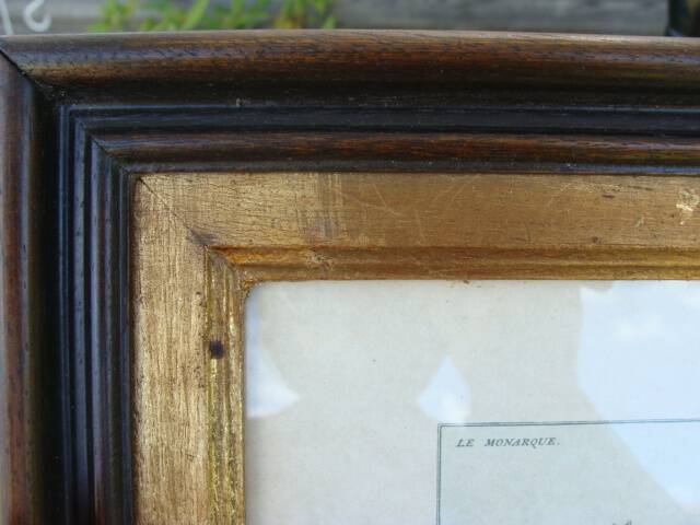 Equestrian engraving The Monarch