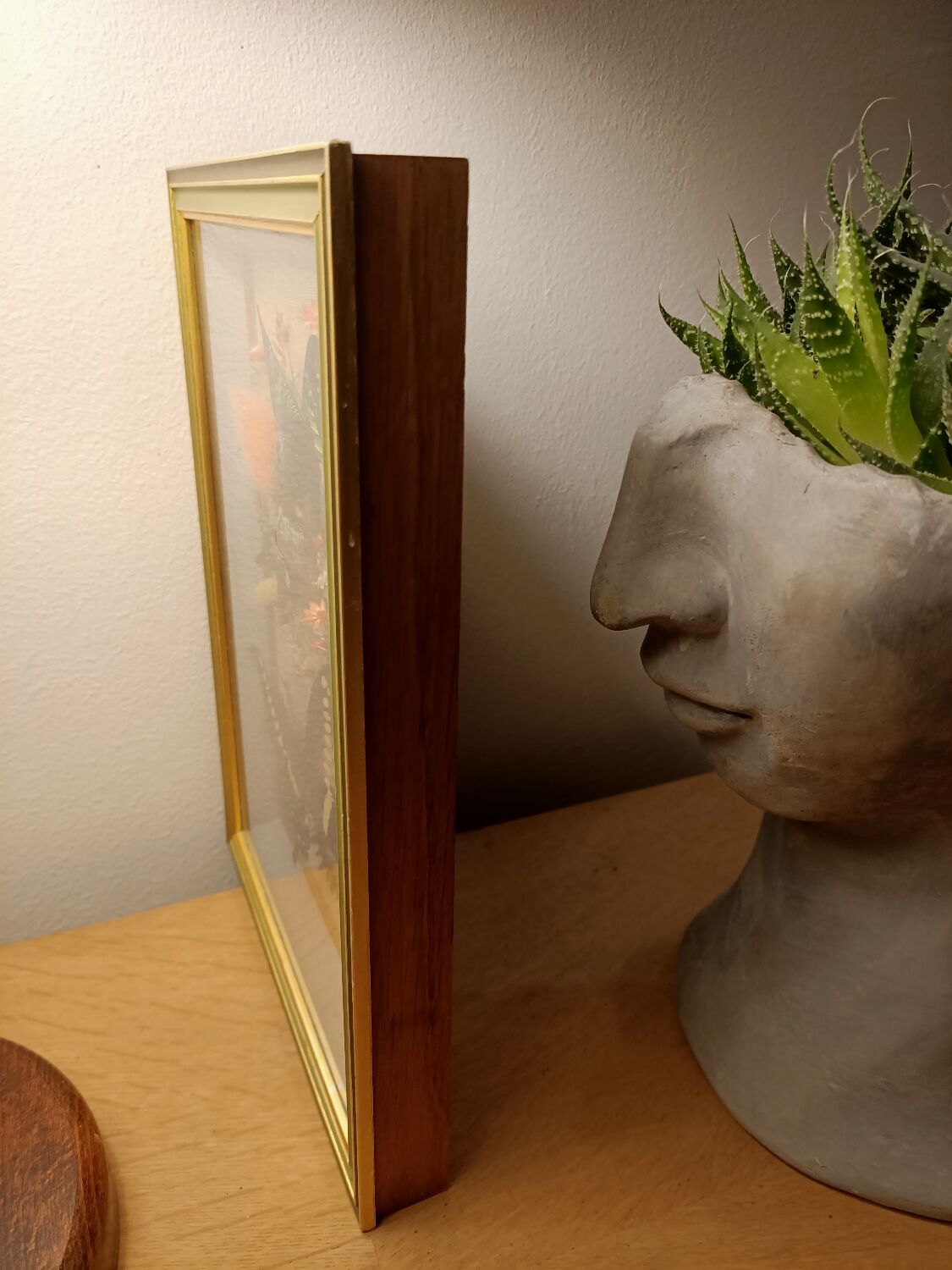 Cadre vitrine papillons