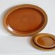 Dish