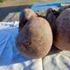Pair of Old Leather Boxing Gloves