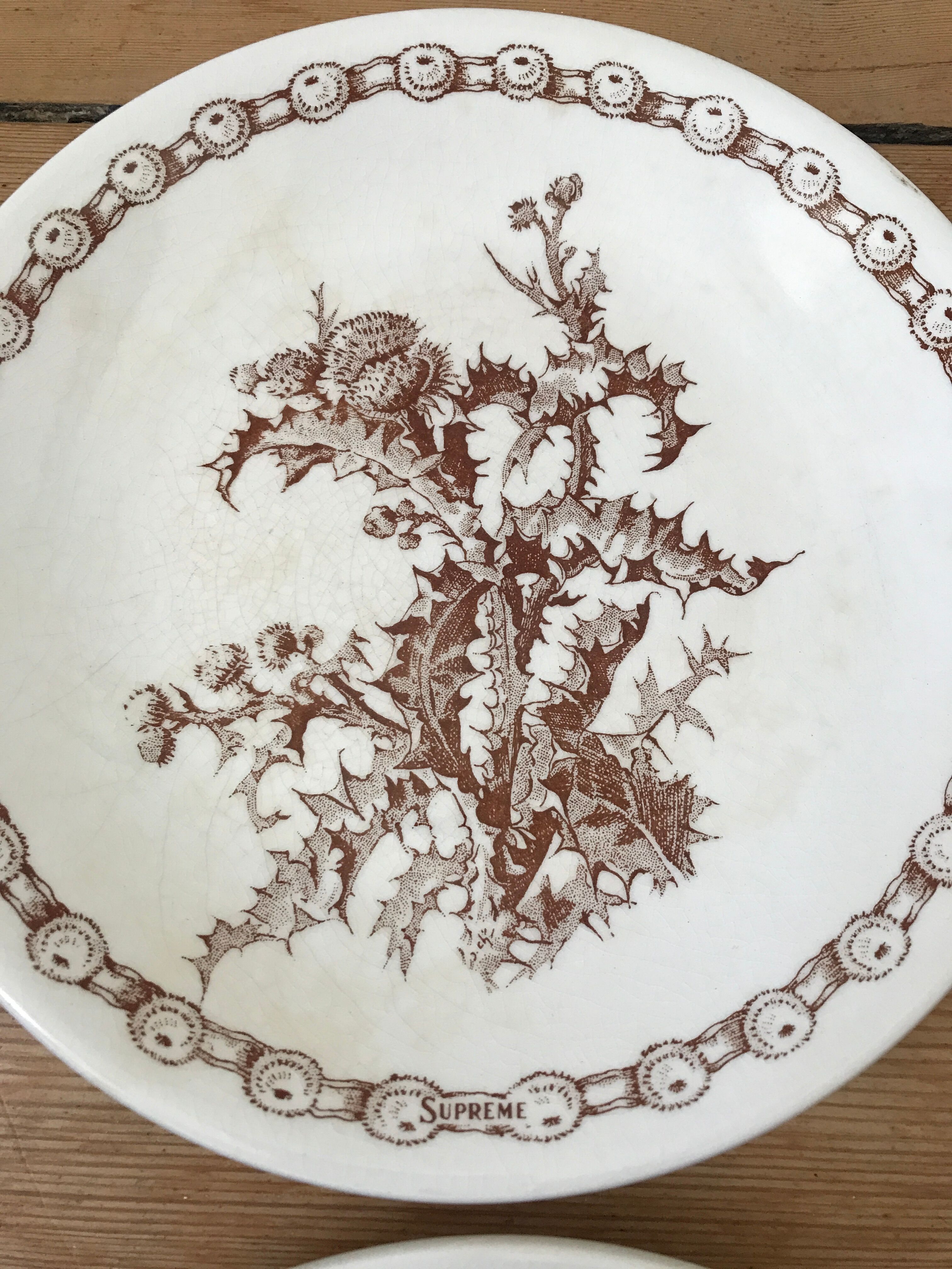 Series of 6 flat plates old model "Thistles" Gien