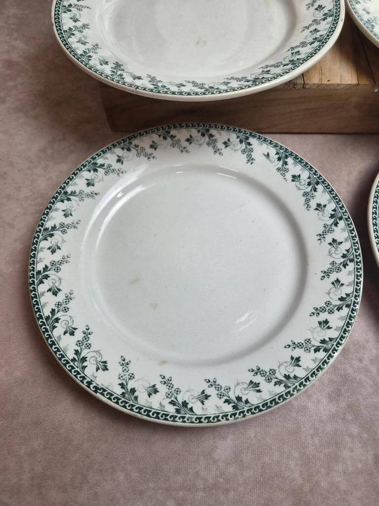 Set of 6 flat plates, Gien Montigny ironstone – old green decoration.