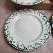 Set of 6 flat plates, Gien Montigny ironstone – old green decoration.