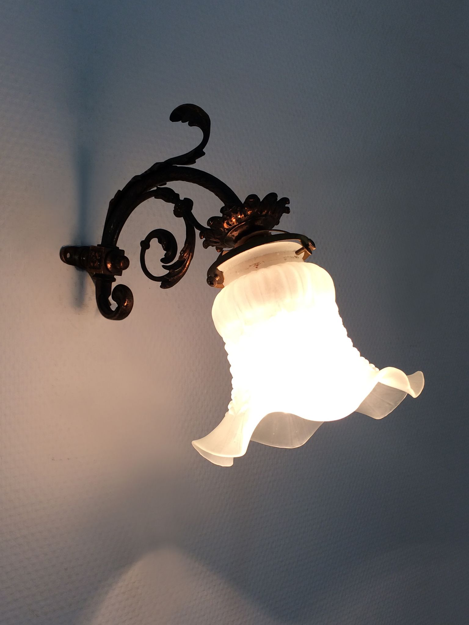 Pair of brass swan collar wall sconces, glass tulips, years 50