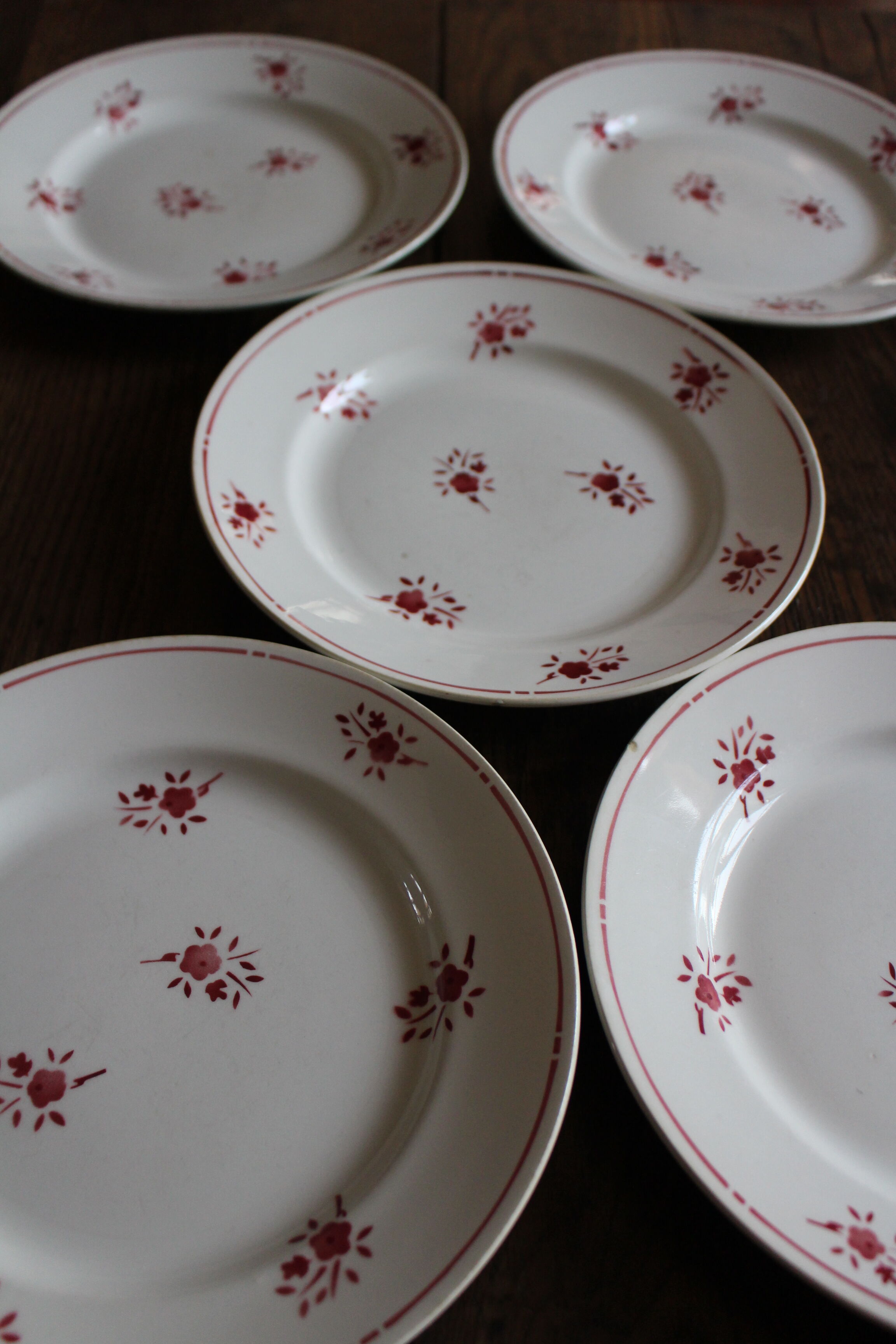 Lot 5 plates Plates Red Flowers Moulin des Loups Richard