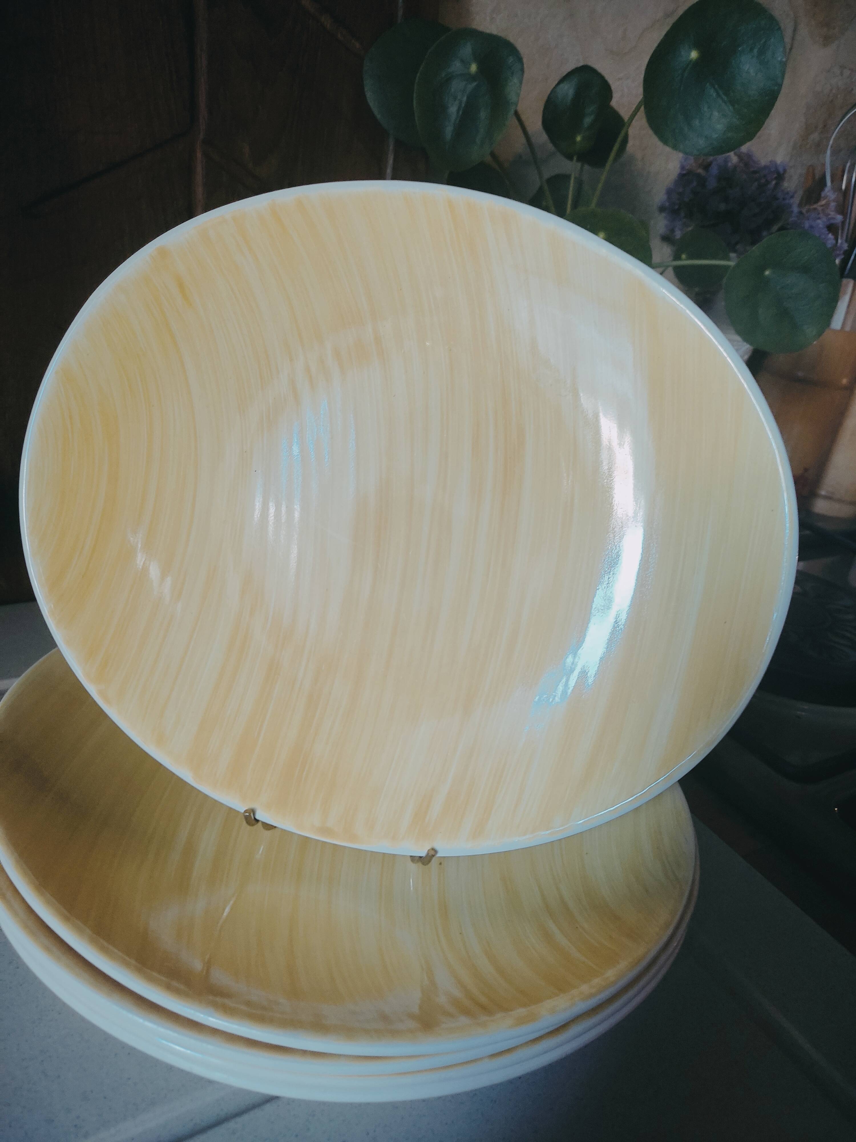 5 oval plates Aquilon by Salins