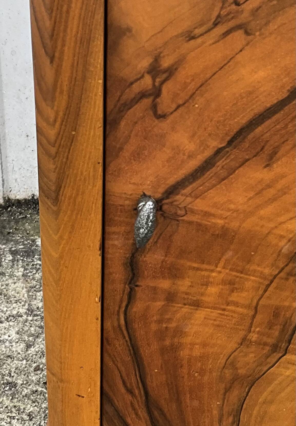 Louis Philippe style bedside table in burr walnut, late 19th century