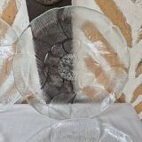 Arcoroc glass plates