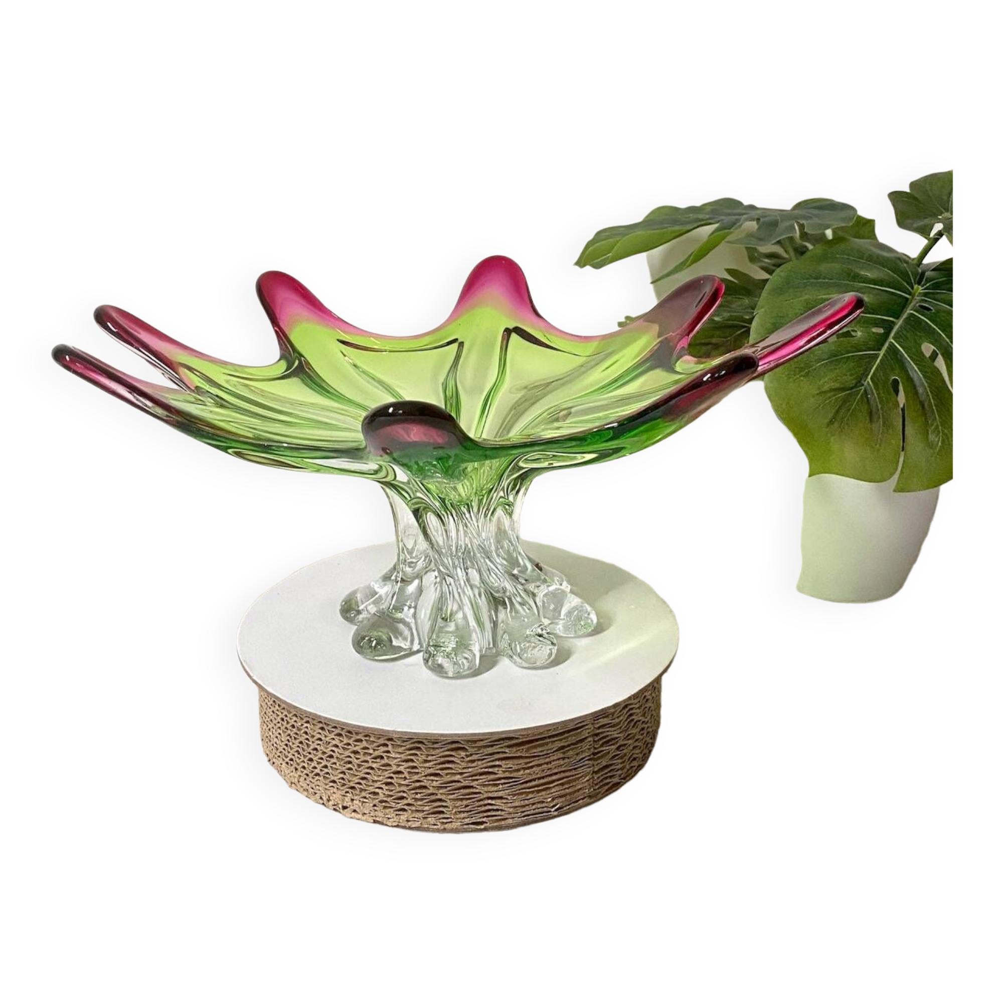 Sunburst shaped Murano centerpiece in lime green & fushsia  - Sommerso