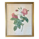 Old frame Redouté roses