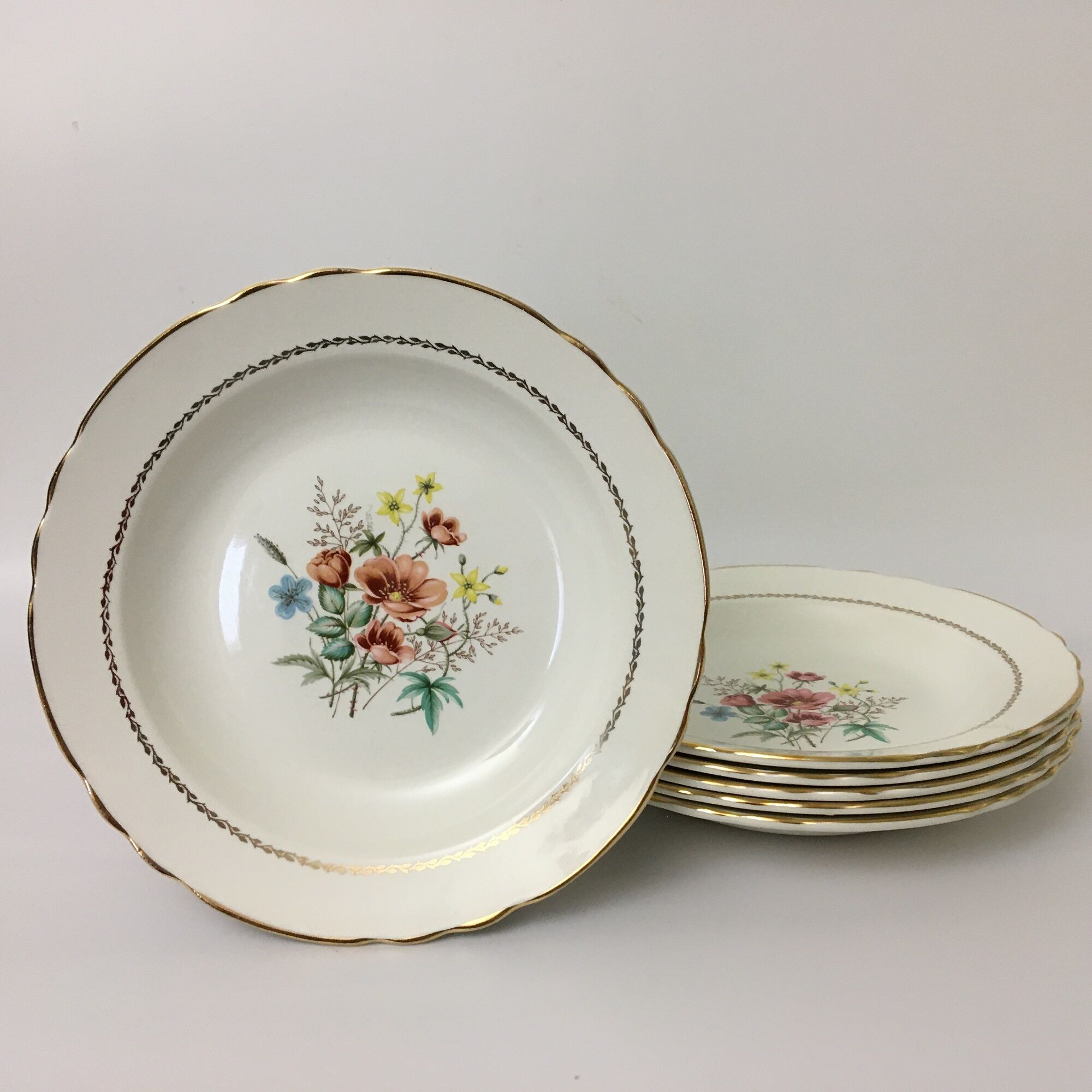 Set of 6 Hollow Earthenware Plates "SALINS" - "Manzat"