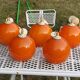 Set of 5 orange glass ball pendants from the 70s
