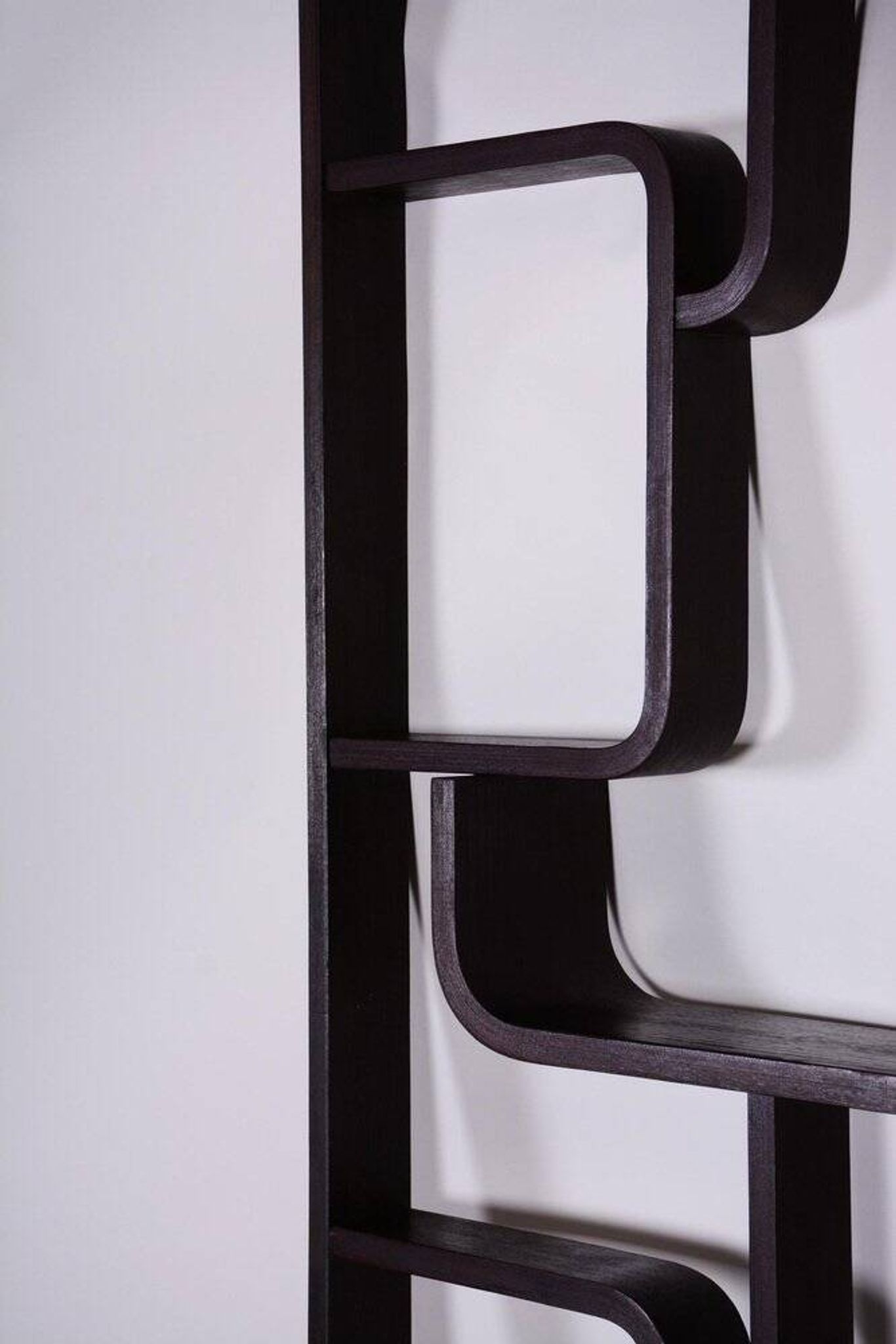 Room Divider by Ludvik Volak for Drevopodnik Holesov, 1960s