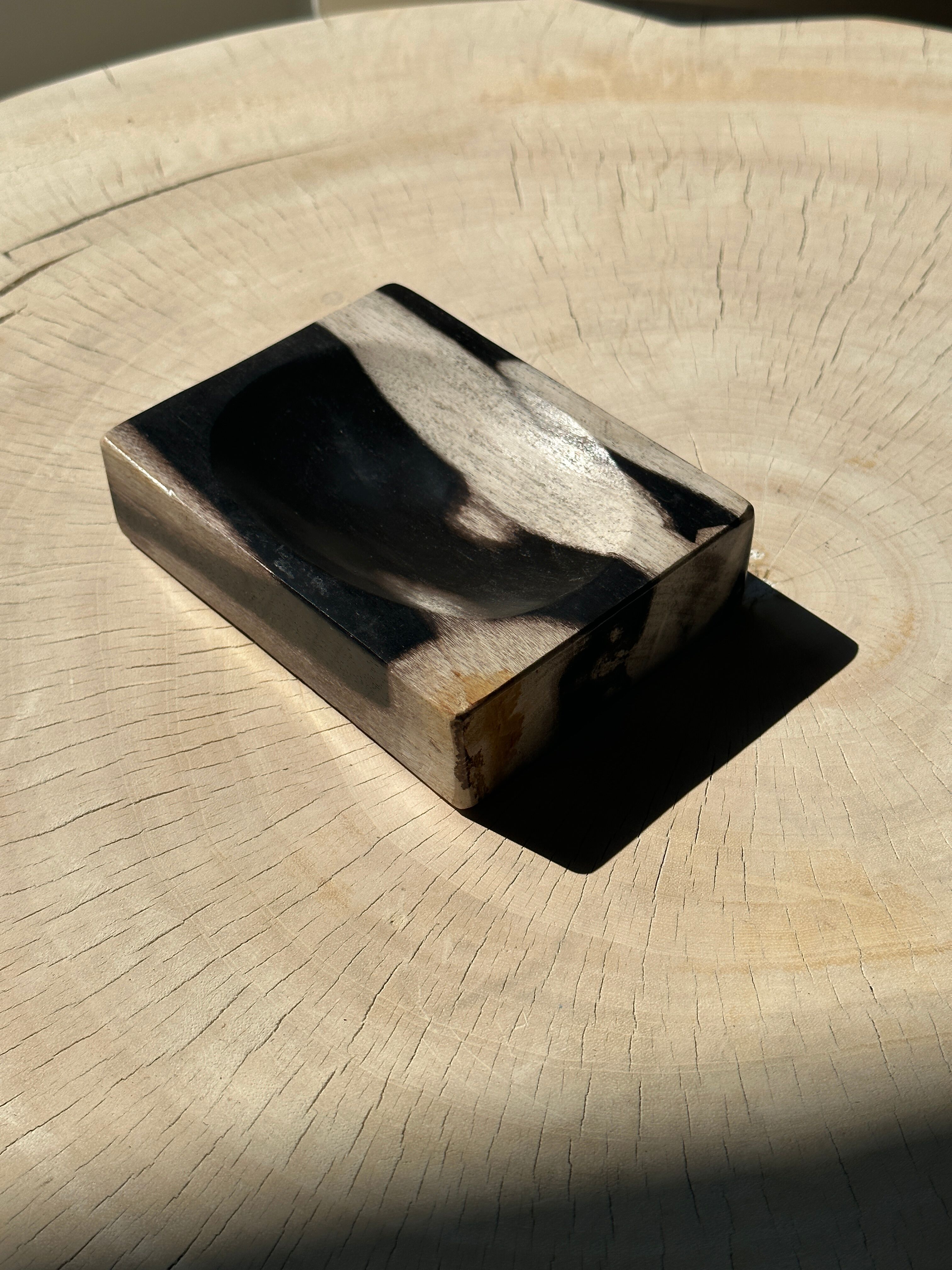 Symmetrical multicolored petrified wood soap dish