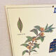 Vintage school poster tea – Émile Deyrolle Paris 1970s
