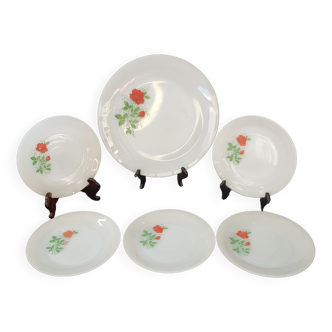 Set of 1 dish and 5 dessert plates Arcopal rose de france