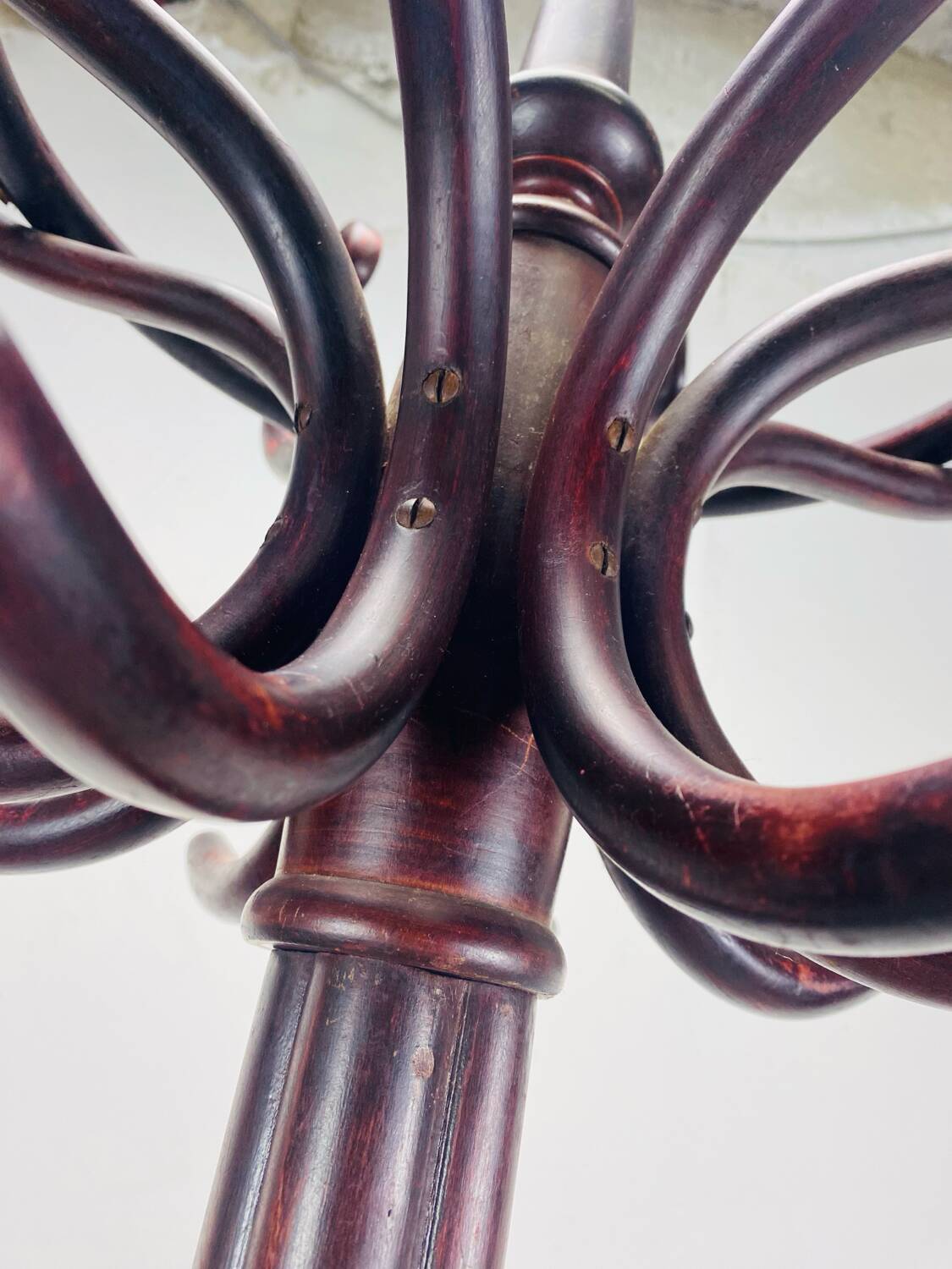 Parrot coat rack Thonet