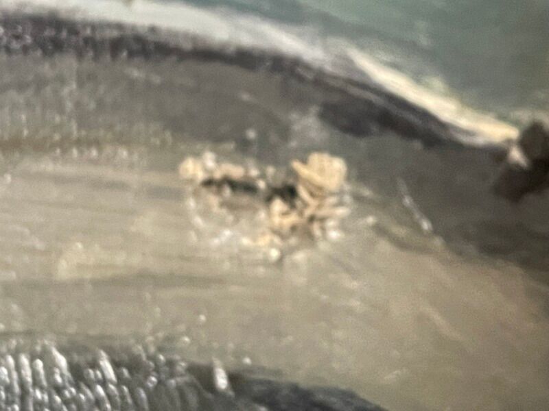 Old pair of still life oil on canvas signed Brittany 1 damaged