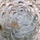 Ceiling light