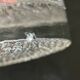 Scandinavian crystal ashtray 1960s/1970s
