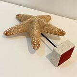 XXL Vintage Natural Starfish on Marble Base Cabinet of Curiosities
