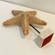 XXL Vintage Natural Starfish on Marble Base Cabinet of Curiosities