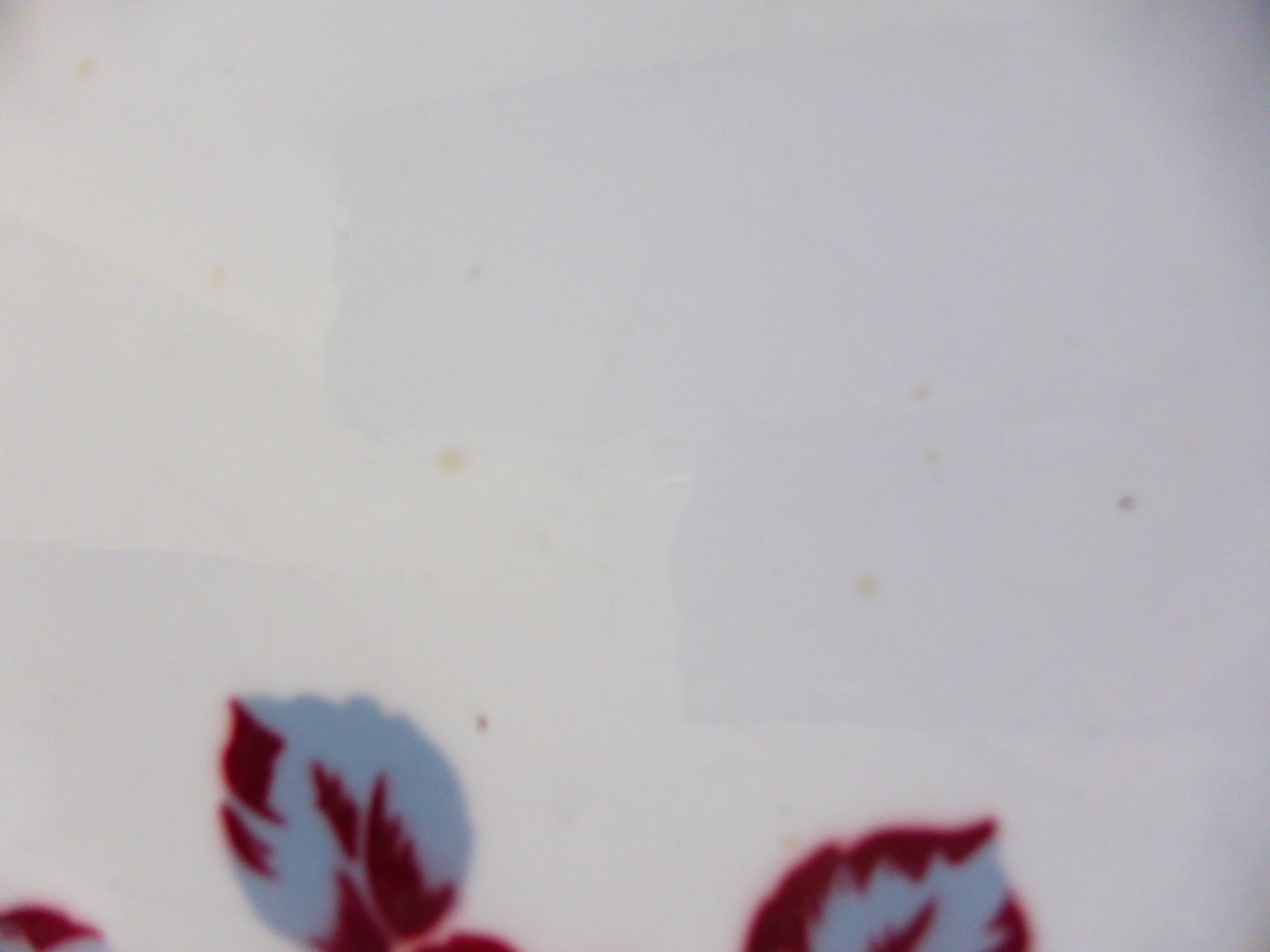 2 vintage mixed dinner plates from Badonviller and Moulin des Loups