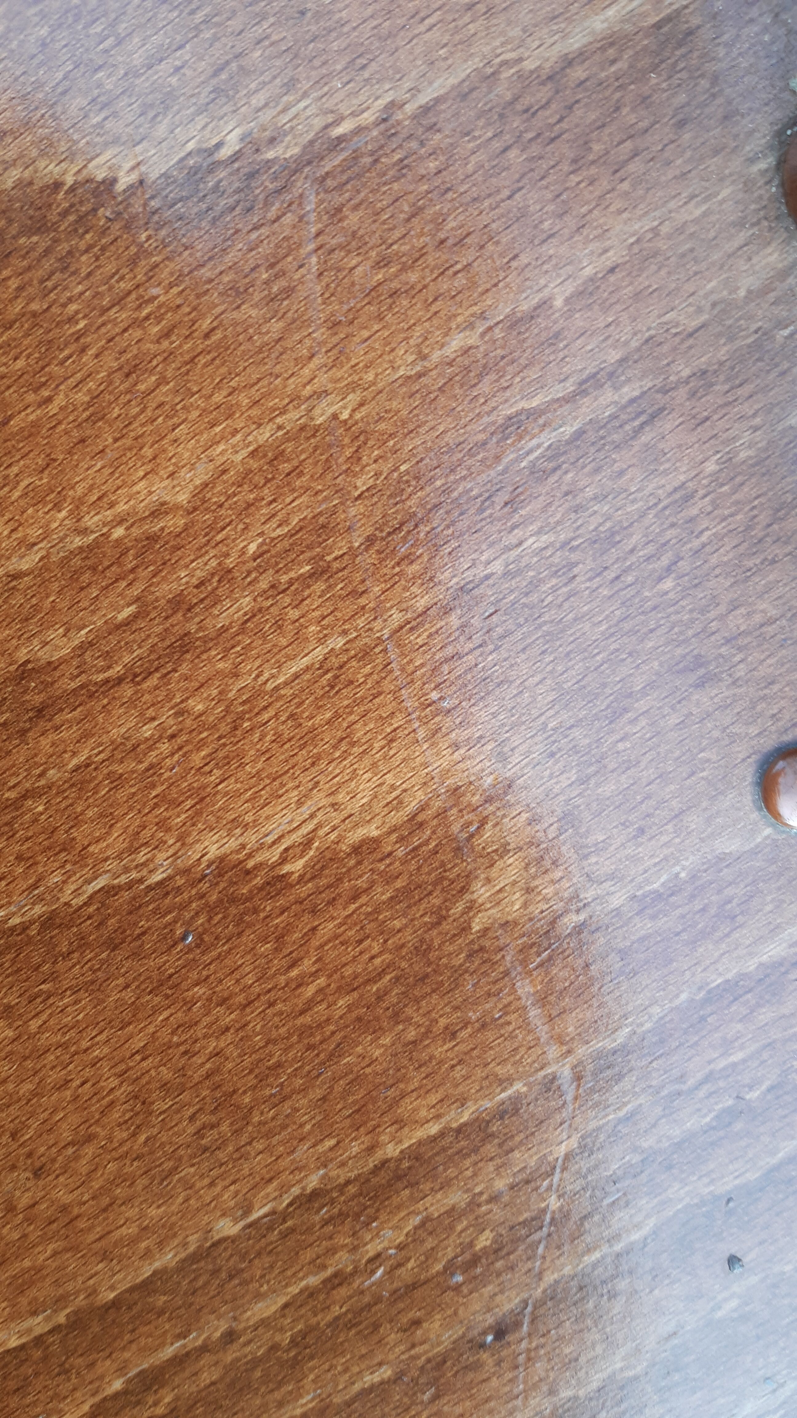 Baumann bistro chairs