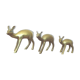 Brass fawn trio